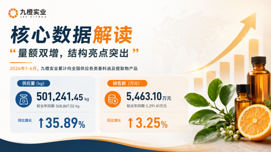 九橙实业2026年上半年经营回顾与致谢